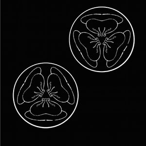 动漫♂️yaoi自慰Gay狼人
