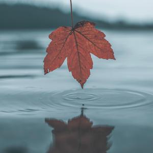 动漫♂️yaoi自慰Gay狼人
