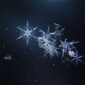 动漫♂️yaoi自慰Gay狼人
